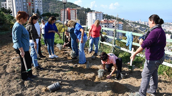 Narlıdere 'lavanta' kokacak